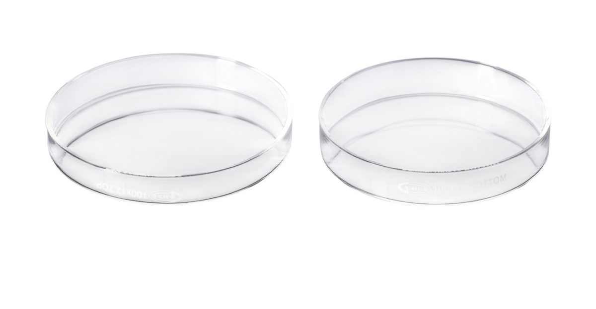 Caja Petri de Vidrio de Borosilicato - Glassco
