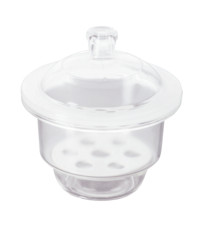 Desecador de Vidrio con Tapa y Plato de Porcelana - Glassco