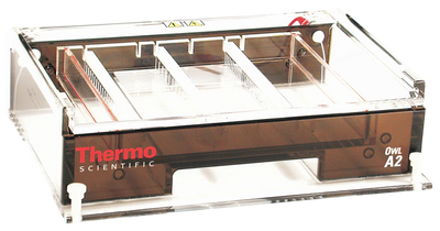 Sistema de Electroforesis en Gel Horizontal Owl™ Gator™ A2 – Thermo Scientific